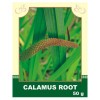 Calamus Root