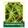 Coriander Fruits 50g