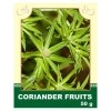Coriander Fruits 50g