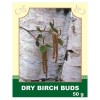 Dry Birch Buds
