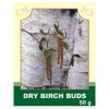 Dry Birch Buds