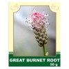 Great Burnet Root 50g