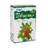 Hawthorn Berries / Crataegus sanguinea