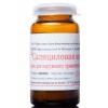 Salicylic ointment 2% 25g