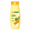 Cream Facial Cleansing Foam for All Skin Types, Sea Buckthorn, 250 ml