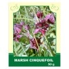 Marsh Cinquefoil 50g