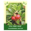 Uva Ursi Leaf 100g