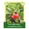 Uva Ursi Leaf 100g