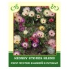 Kidney Stones Blend 50g