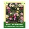 Kidney Stones Blend 50g