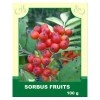 Sorbus Fruits 100 g