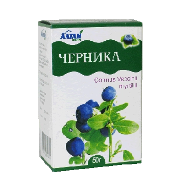 Bilberries