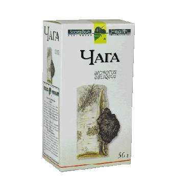 Birch Fungus Chaga