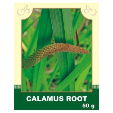 Calamus Root