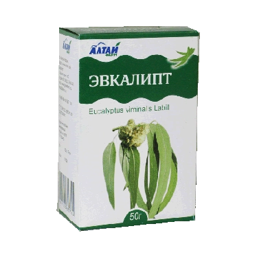 Eucalyptus Leaves