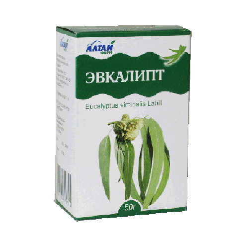 Eucalyptus Leaves
