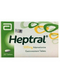 Geptal tablets coated with enteric-soluble shell 500 mg 20 pcs.