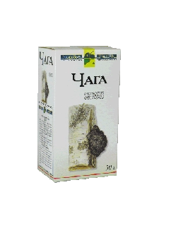 Birch Fungus Chaga