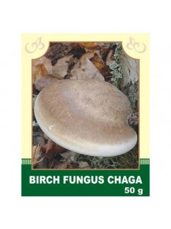Birch Fungus Chaga 50g
