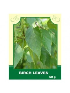Birch Leaves