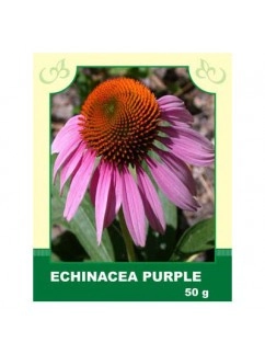 Echinacea Purple 50g