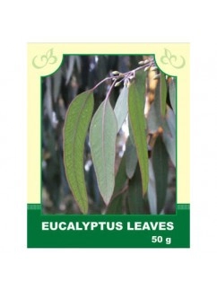 Eucalyptus Leaves 50g