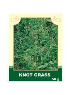 Knot Grass 50g