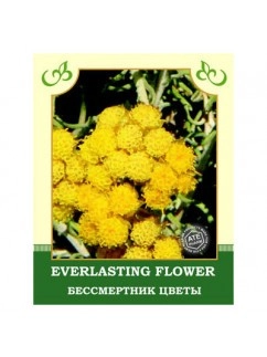 Everlasting Flower