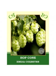 Hop Cone 30g
