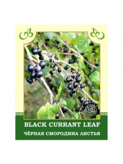 Black Currant Leaf 30g