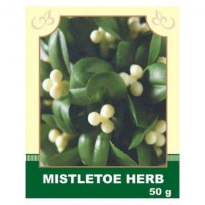 Mistletoe Herb