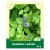 Bilberry Leaves 35g