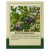 Black Chokeberry 50g