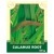 Calamus Root