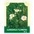 Chamomile Flowers 30 g