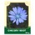 Chicory Root 50g