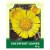Coltsfoot Leaves 50g