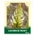 Licorice Root 50g