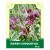 Marsh Cinquefoil 50g