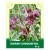 Marsh Cinquefoil 50g
