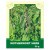 Motherwort Herb 35g