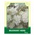 Mugwort Herb 50g