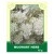 Mugwort Herb 50g