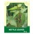 Nettle Leaves 50g