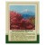 Anti-Inflammatory Blend 50g