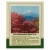 Anti-Inflammatory Blend 50g