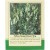 Yellow Sweet Clover 50g