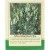 Yellow Sweet Clover 50g