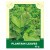 Plantain Leaves 45g