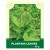 Plantain Leaves 45g